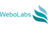 WeboLabs Web Design Agency